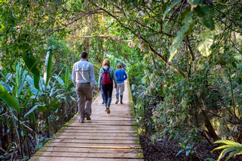 Reserva Nacional Tambopata photo 2