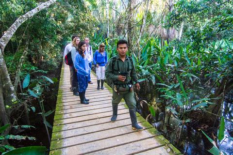 Tambopata National Reserve Peru