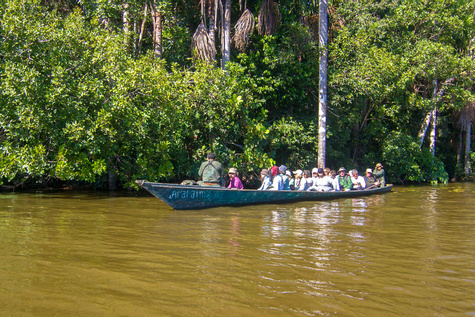 Tambopata National Reserve