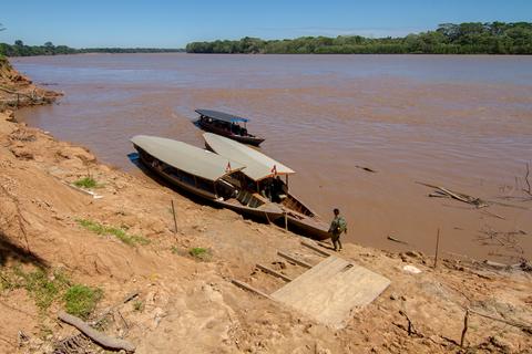 Tambopata National Reserve Peru