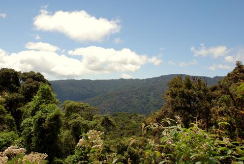 Tapantí National Park Costa Rica