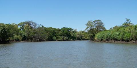 Tempisque River Costa Rica