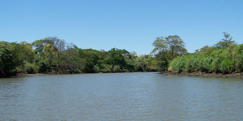Río Tempisque photo 2