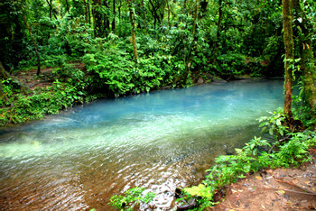 Tenorio & Miravalles Protected Zone photo 2