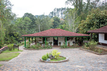 Parque Natural Topes de Collantes photo 2