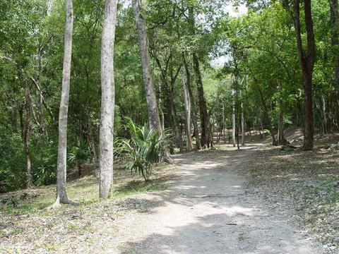Topoxte Archaeological Site Guatemala
