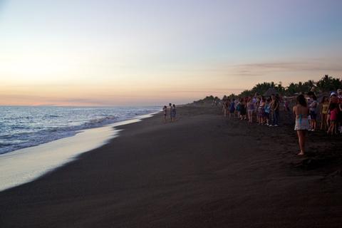 Tortugario Monterrico Guatemala