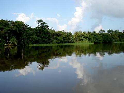 Parque Nacional Tortuguero Costa Rica