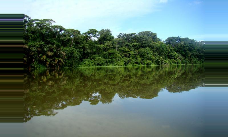 Tortuguero National Park, Costa Rica - 2018 Guide