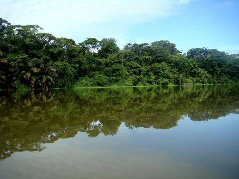 Parque Nacional Tortuguero Costa Rica