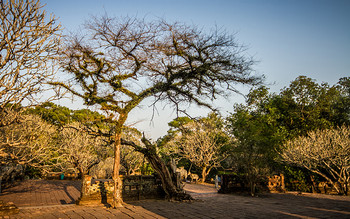 Tu Duc Tomb
