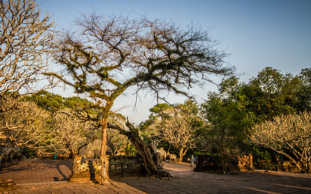 Tu Duc Tomb