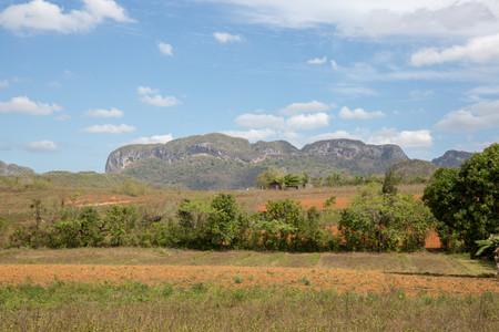 Parque Nacional Viñales photo 2
