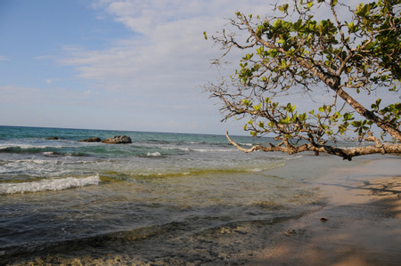 Wizard Beach photo 3