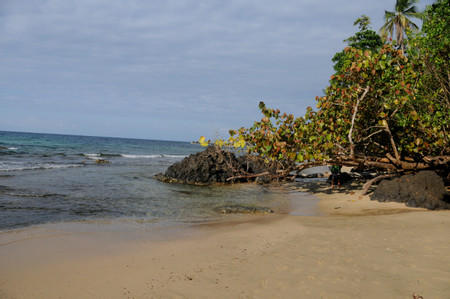 Wizard Beach photo 2