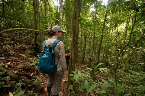 Yasuni National Park Ecuador