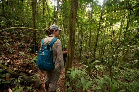 Yasuni National Park photo 2
