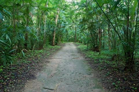 Yaxhá-Nakum-Naranjo Guatemala