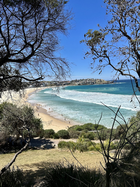 Bondi Beach