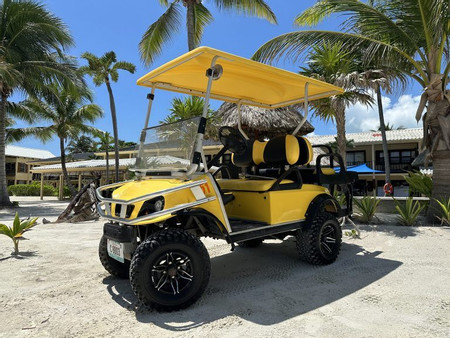 4 Seats Golf Cart Rental photo 2