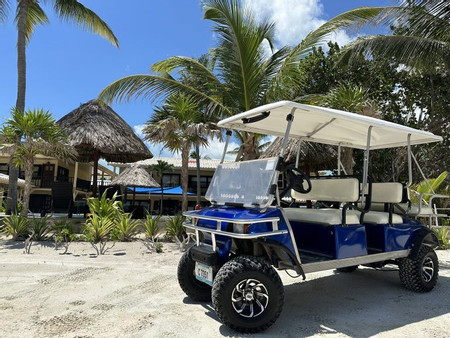 6 Seats Golf Cart Rental One Day photo 2