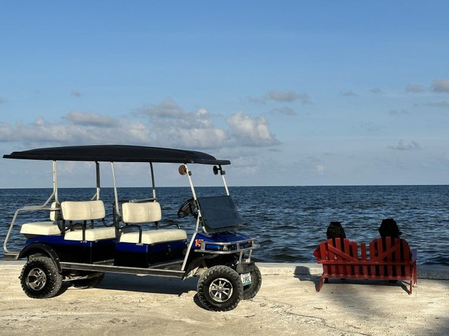 6 Seats Golf Cart Rental One Day photo