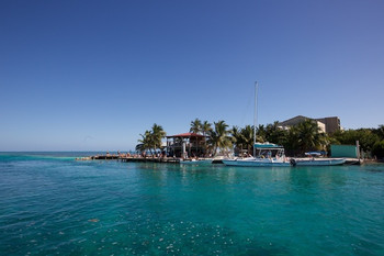 Caye Caulker Experience photo 4