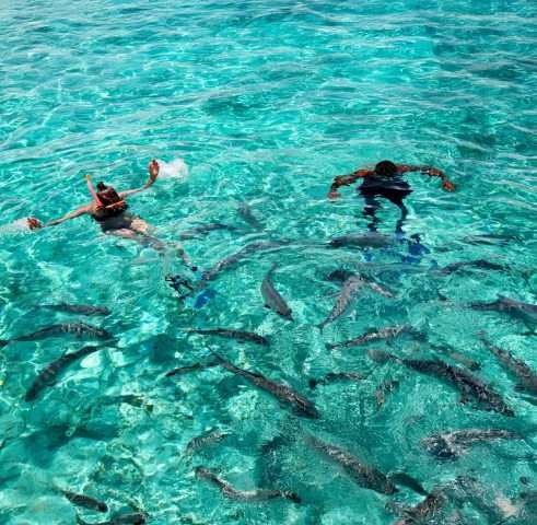 Caye Caulker Experience photo