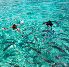 Caye Caulker Experience - Group