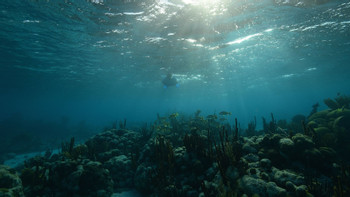 Caye Caulker Full Day Snorkel Adventure photo 4
