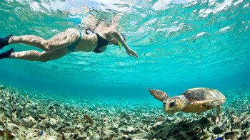 Caye Caulker Full Day Snorkel Adventure photo 5