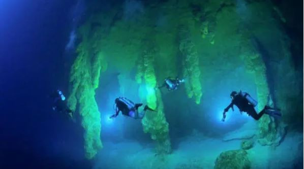 Night Scuba Diving Experience  photo