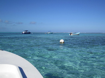 Reef Fishing Tour - Half Day photo 2