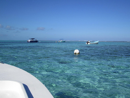 Reef Fishing Tour - Half Day photo 2
