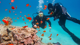 Local Scuba Diving Experience