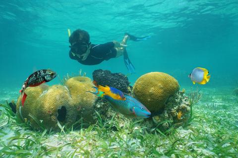 Ambergris Caye Belize