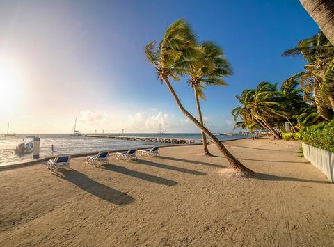 Blue Tang Inn Belize