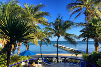 Blue Tang Inn photo 3