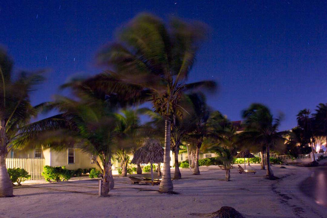 Royal Caribbean Resort Belize photo