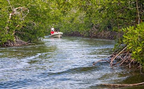 Tour por Bacalar Chico