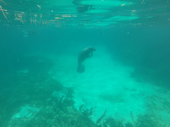 Caye Caulker Sailing and Snorkeling Adventure Photo