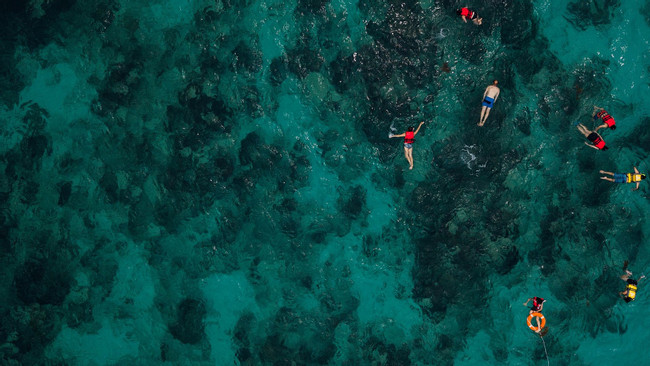 Thrilling Coral Garden Snorkeling Adventure photo