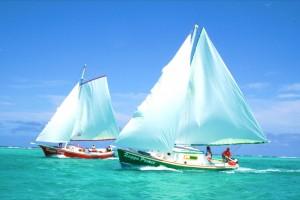 Coral Gardens Tour Belize