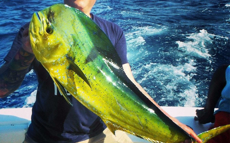 Enhanced Deep Sea Fishing Experience photo