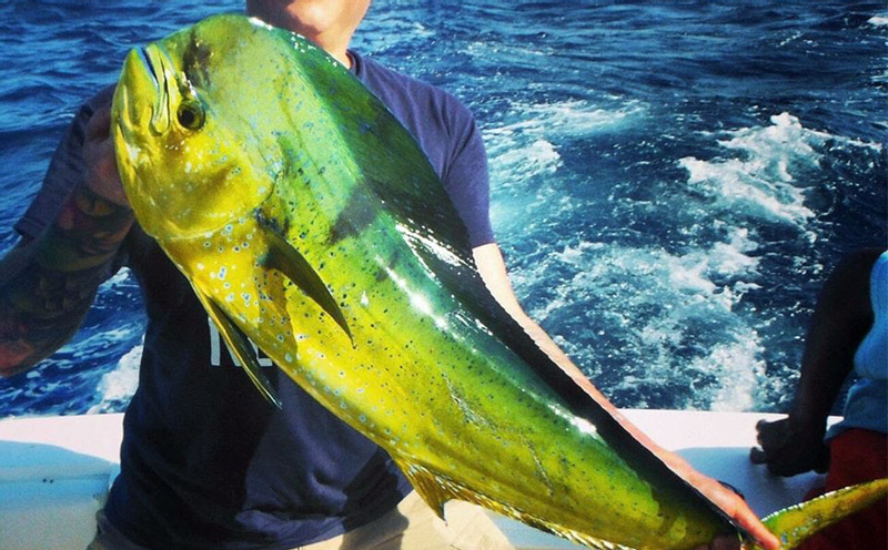 Enhanced Deep Sea Fishing Experience photo