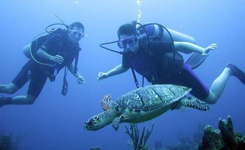 Scuba Diving Belize Belize
