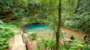 Amazing Cave Tubing St. Herman and Swim at Inland Blue Hole photo 3