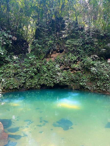 Amazing Cave Tubing St. Herman and Swim at Inland Blue Hole photo 2