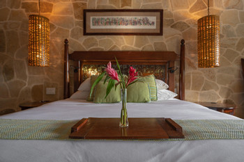 Sleeping Giant Rainforest Lodge photo 3