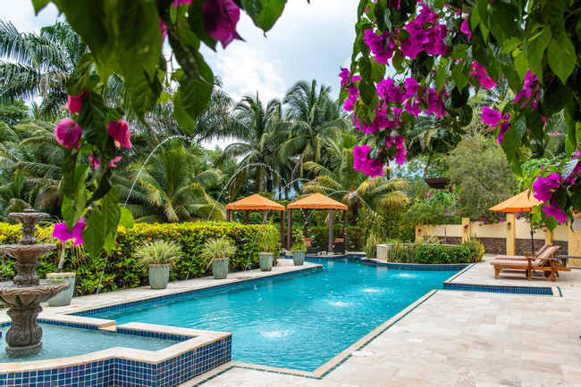 Sleeping Giant Rainforest Lodge photo
